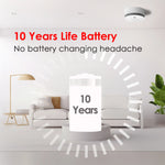 Lade das Bild in den Galerie-Viewer, DHI-HY-SA20A_10_years_life_battery