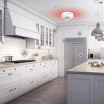 Charger l'image dans la galerie, H01 heat alarm main pic 1