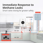 Load image into Gallery viewer, Wisualarm DHI-HY-GA20A-R8 interlinked gas alarm real-time response