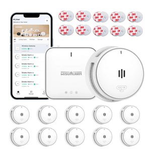 Gateway and 10PC Smoke Alarms
