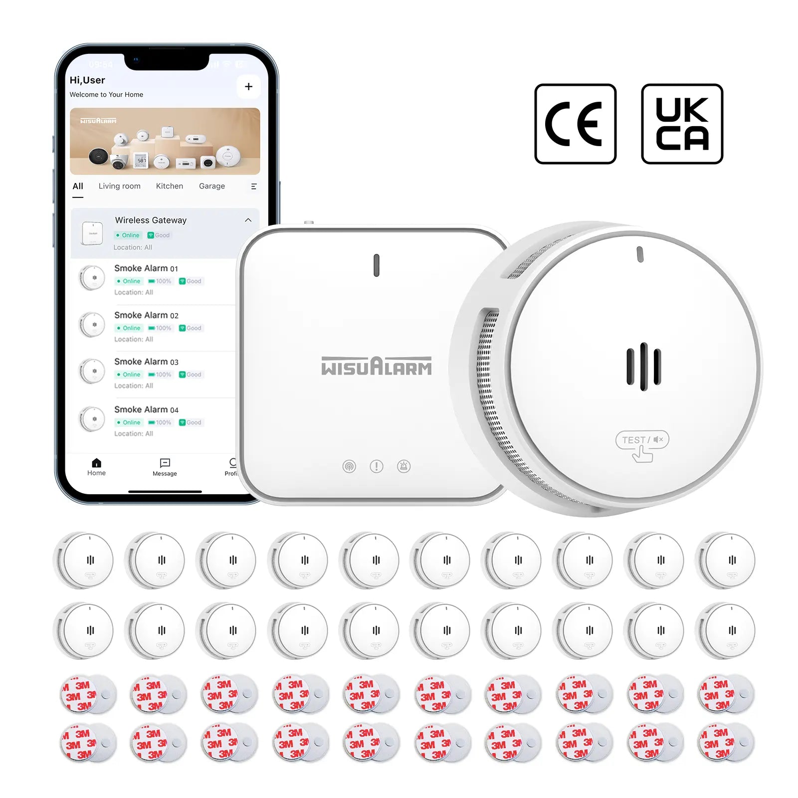 Gateway and 20PC Smoke Alarms