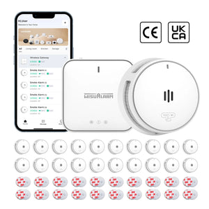 Gateway and 20PC Smoke Alarms