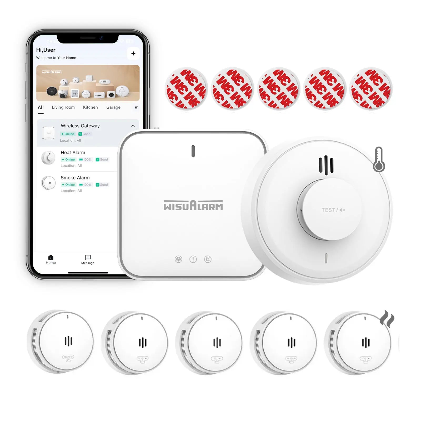 Gateway and 5 Smoke & 1 Heat Alarm