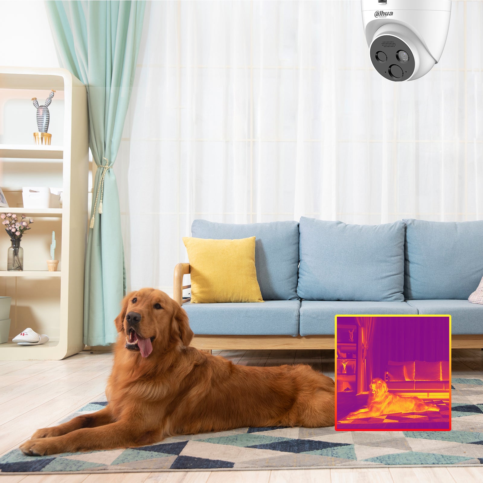 Caméra réseau de détection de flamme Pro