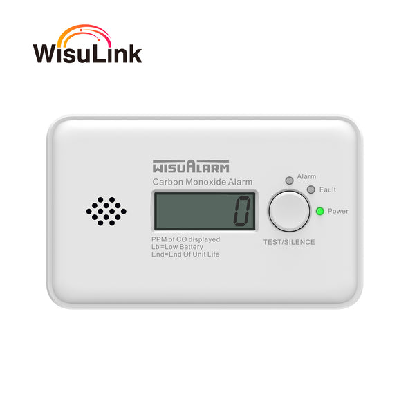 Interlinked Carbon Monoxide Alarm