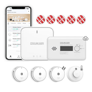 Gateway and 3 Smoke & 1 CO & 1 Heat Alarm