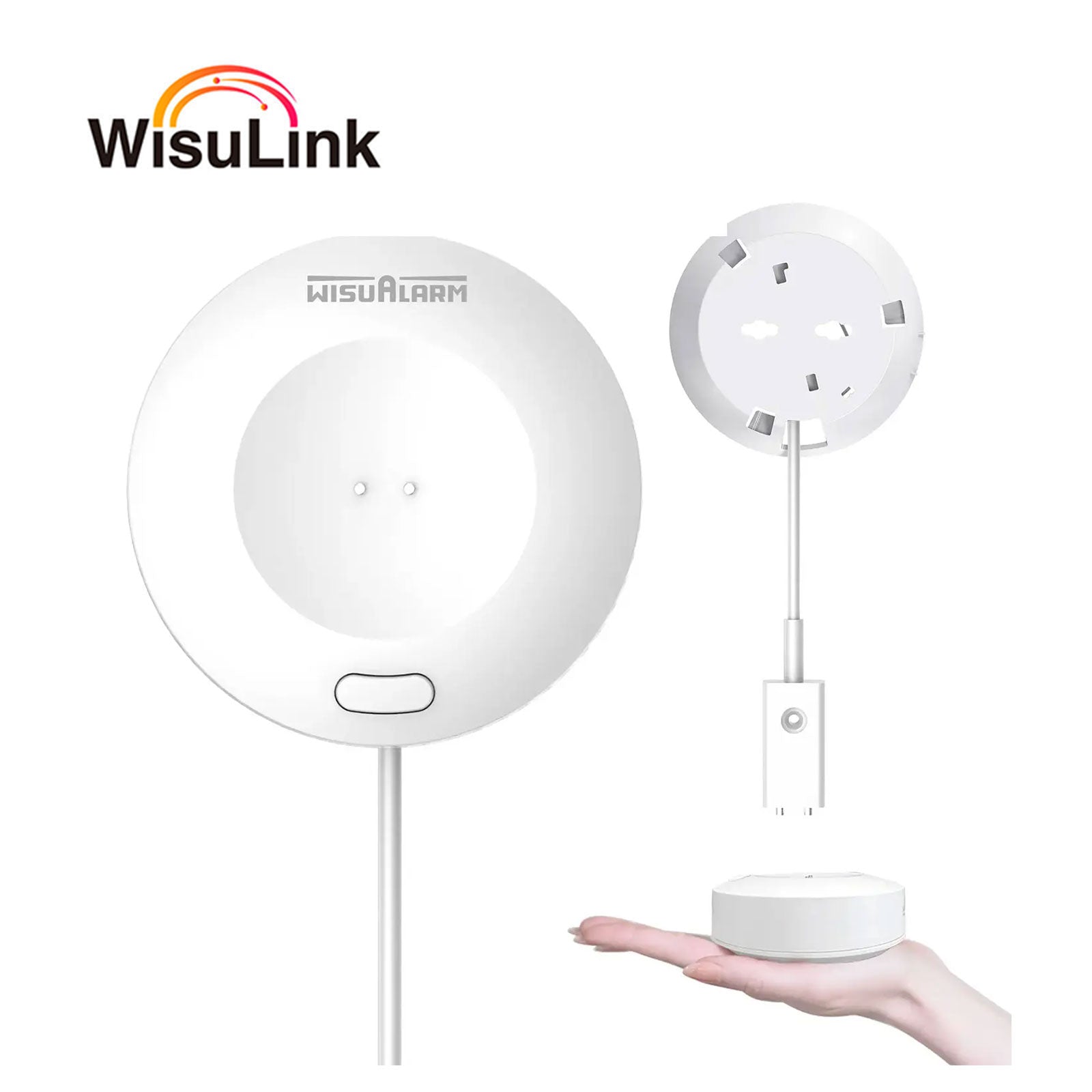 Interlinked Water Leak Detector