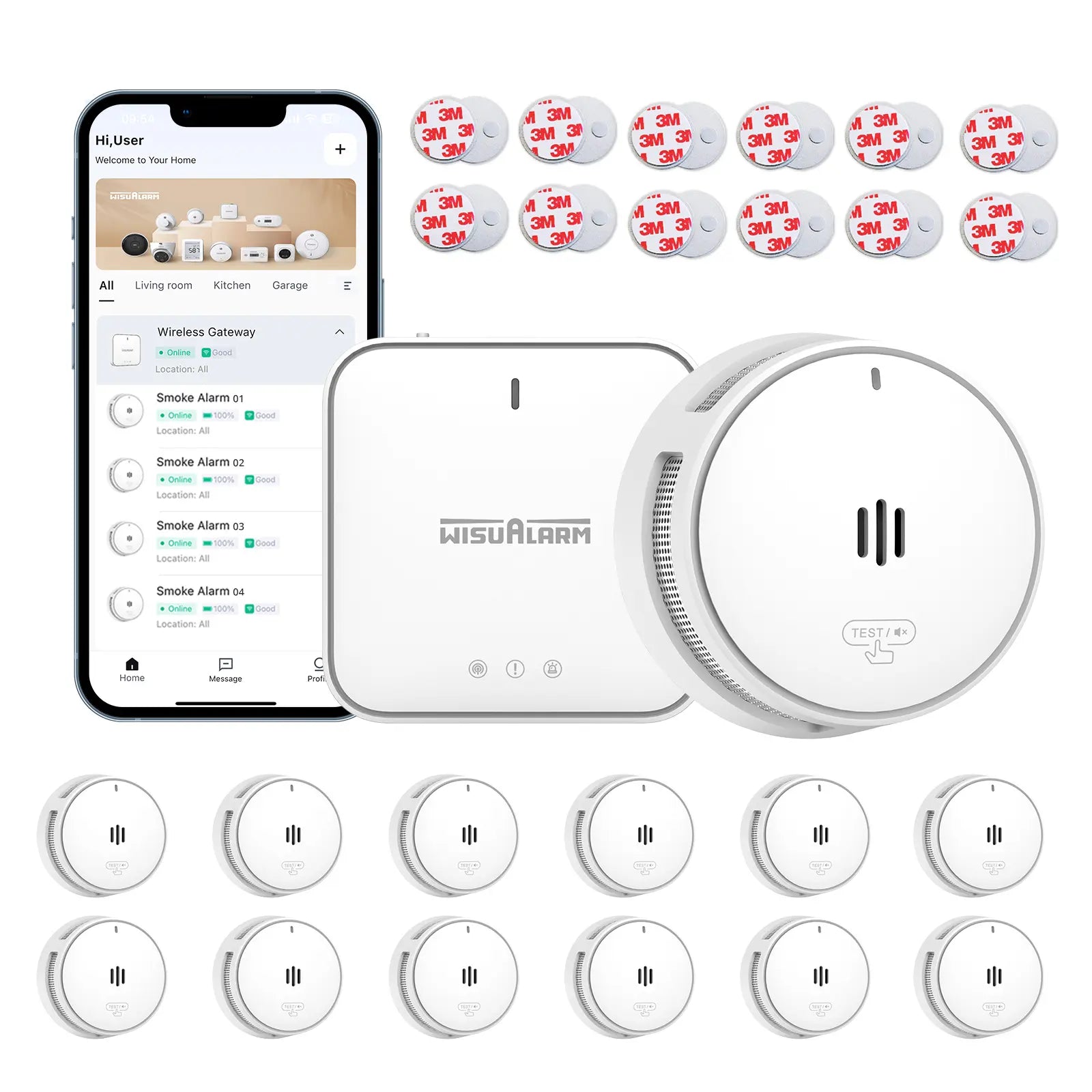 Gateway and 12PC Smoke Alarms