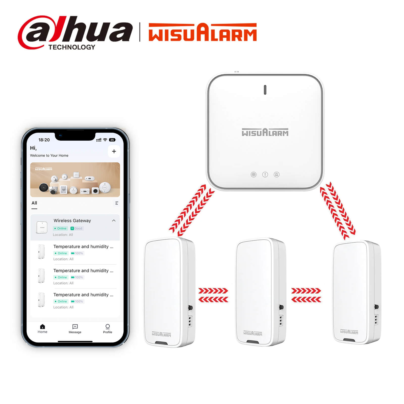 Gateway and Environmental Sensor