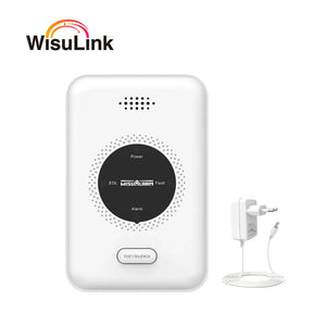 Wisualarm interlinked gas leak detector DHI-HY-GA20A-R8 on white background with EU power adapter for kitchen safety