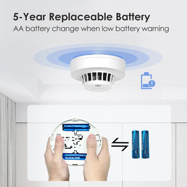 Wisualarm S01 AA battery smoke alarm 5-year replaceable battery
